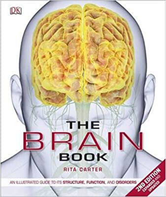 Complete Guide of the Human Brain - Structure, Function